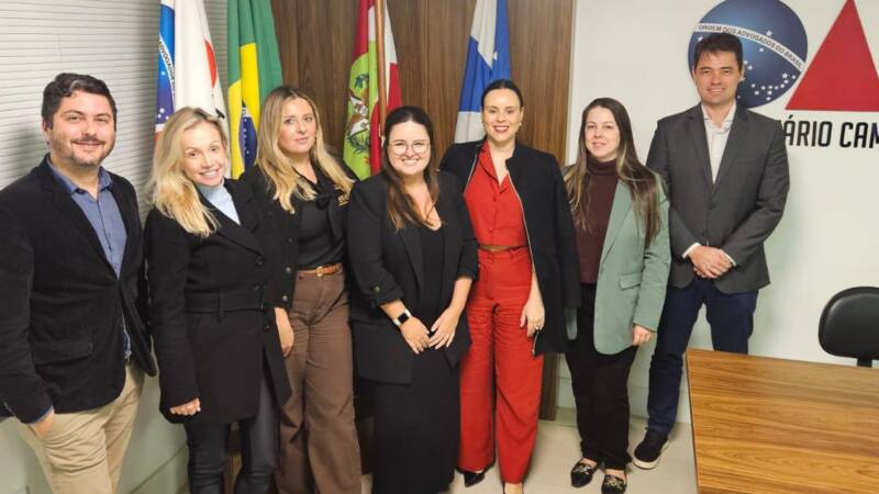 Reunião Da Comissão De Assuntos Previdenciários 16 07 2025