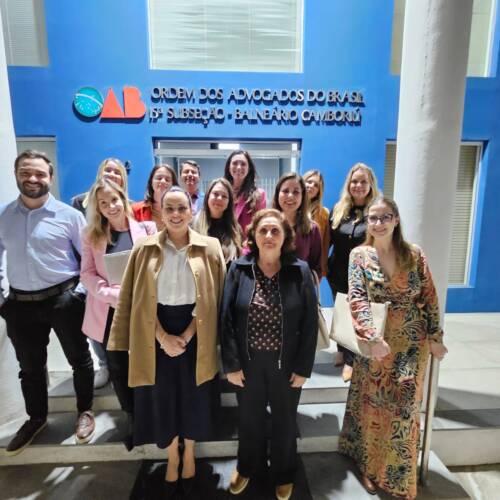 Reunião Da Comissão De Assuntos Previdenciários 20250915 02