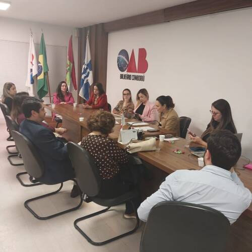 Reunião Da Comissão De Assuntos Previdenciários 20250915 03