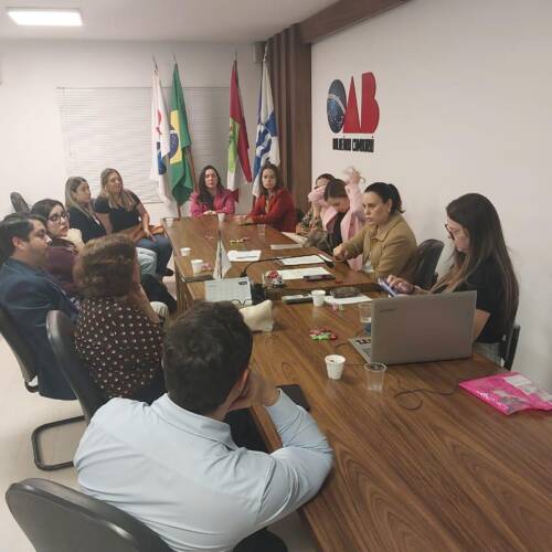 Reunião Da Comissão De Assuntos Previdenciários 20250915 04