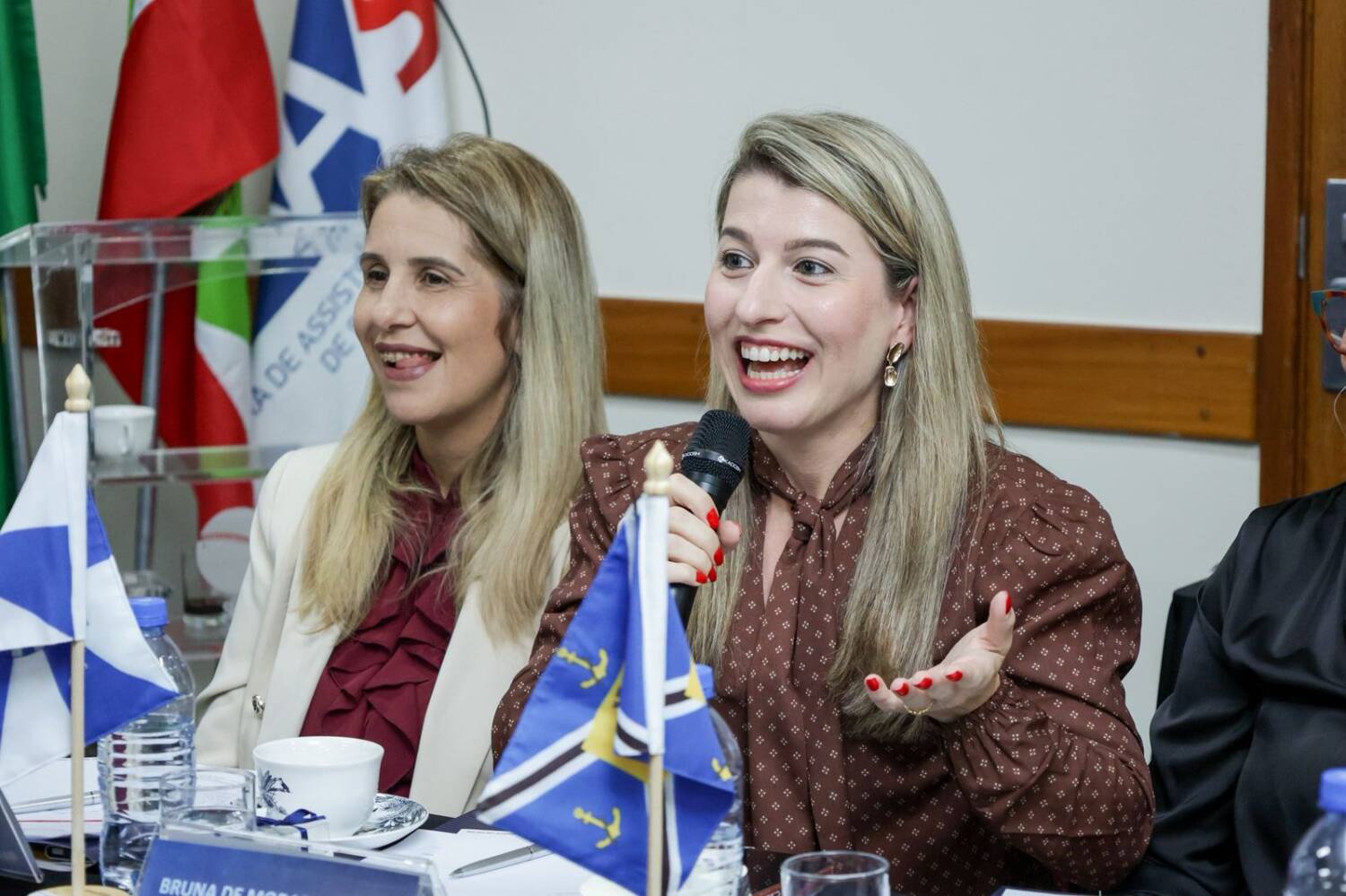 Colégio Estadual De Presidentes De Subseção (1)