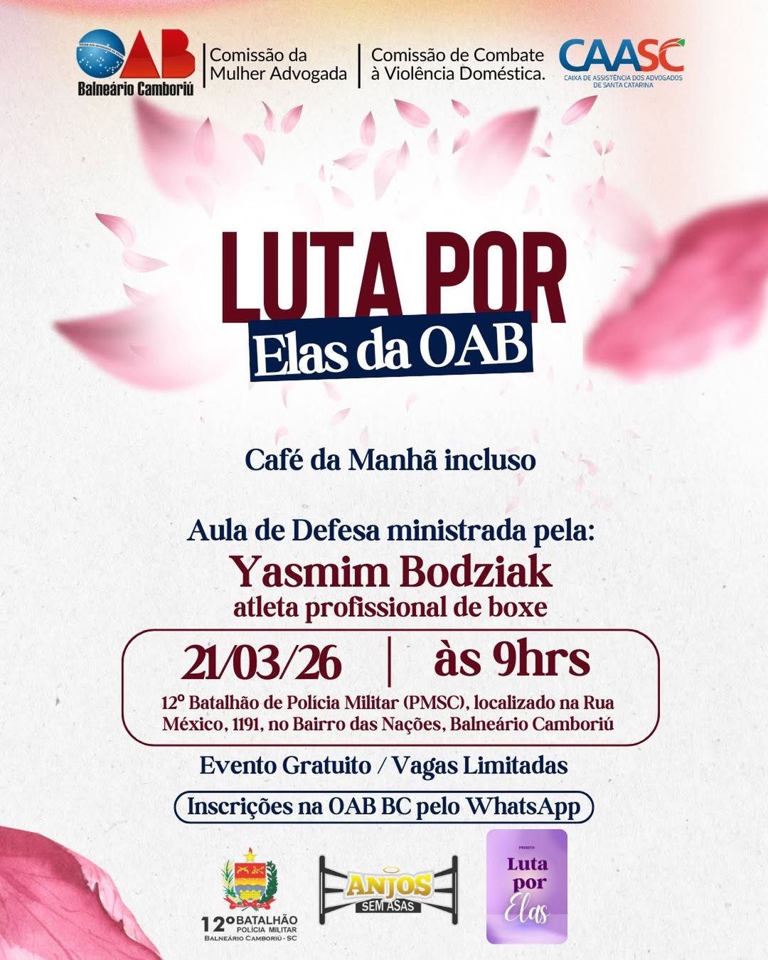 Luta Por Elas Da Oab