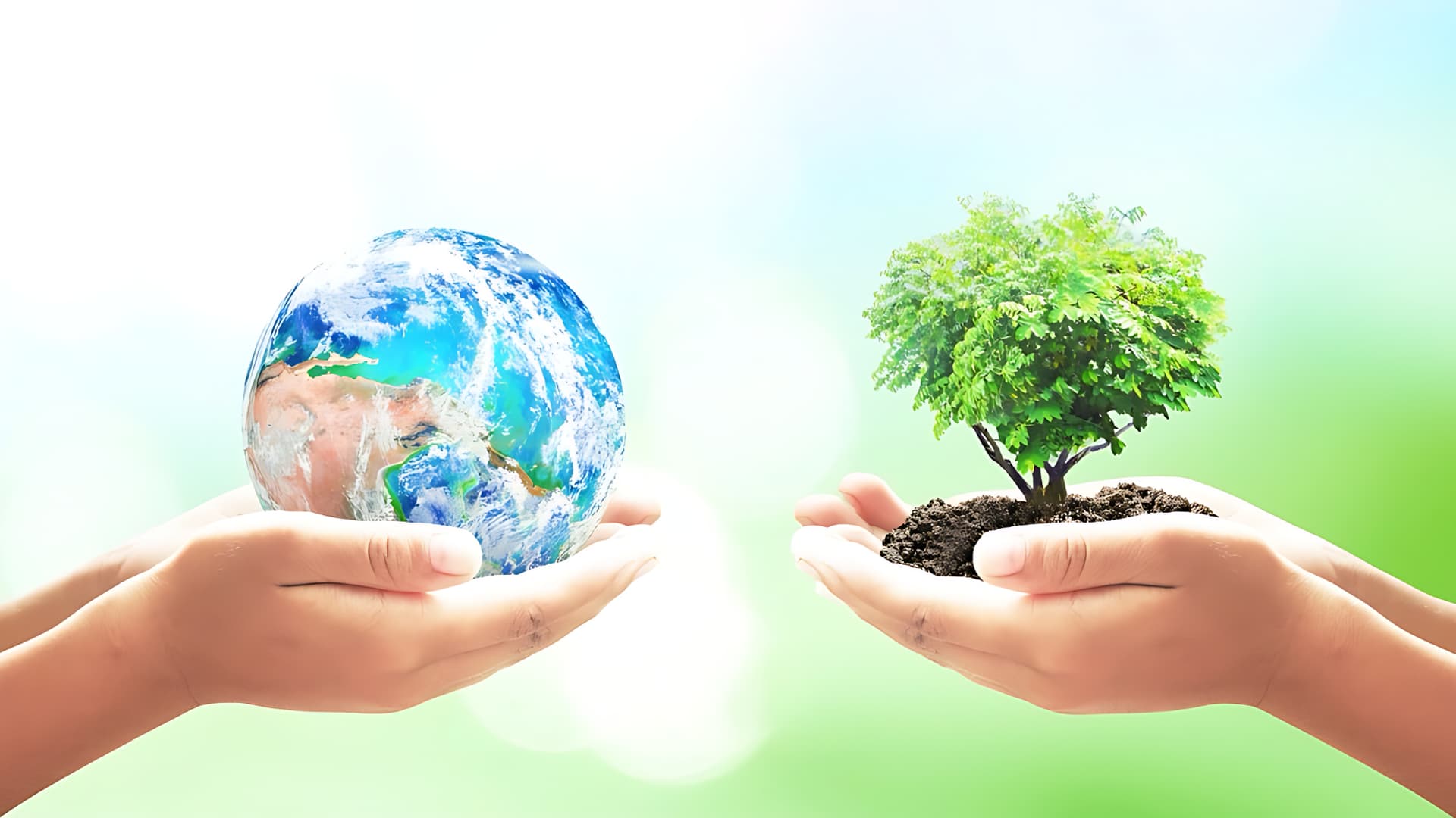 Semana do Meio Ambiente 2026