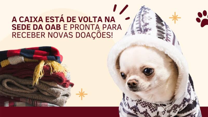 News Doacao Pet